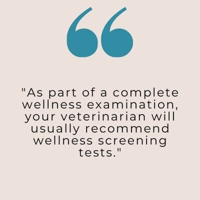 Wellness Examinations